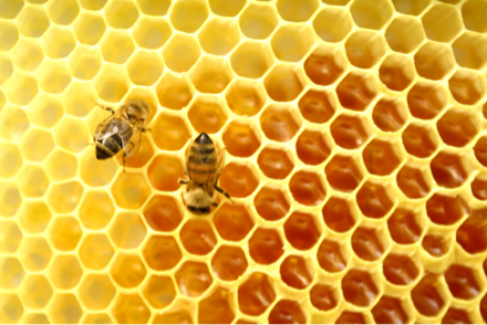 image-20130627185750.png